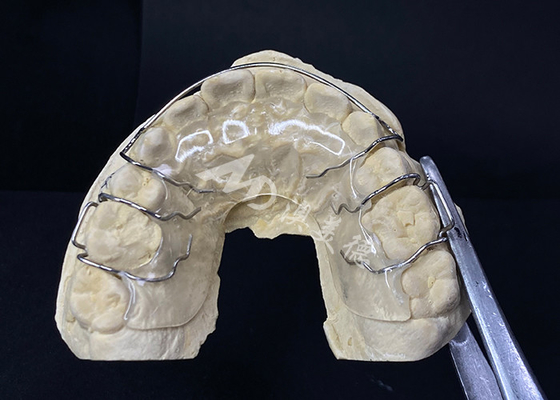 Harga yang bagus Nyaman Untuk Memakai AMD Dental Lab's Hawley Retainer Untuk Ortodontik yang Aman Dan Sehat on line
